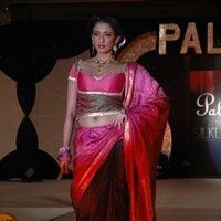 Palam Silk Fashion Show 2011 Pictures | Picture 74216